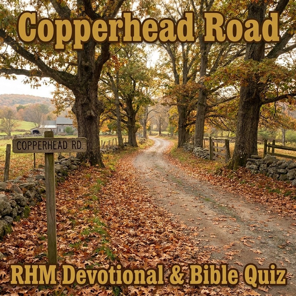 Copperhead Road Cover Image