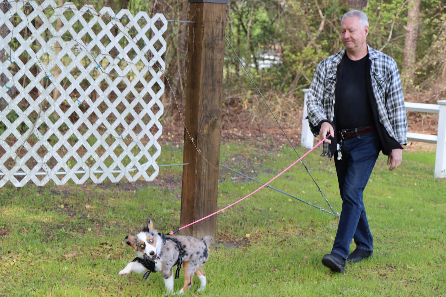 Here are some pics of our fur babies: Jasmine, Layla and River!