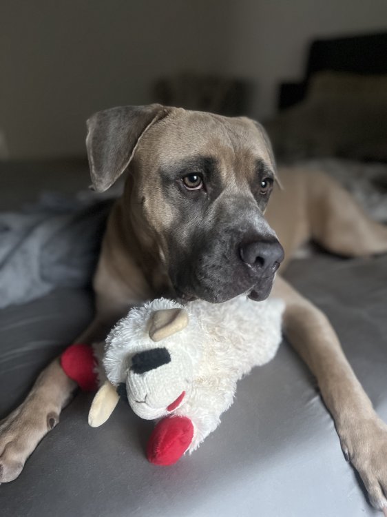 Ronnie Cusato ❤️